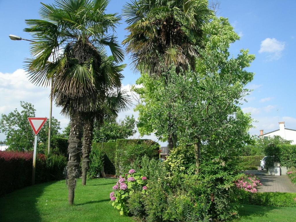 Hotel Da Vito Campagna Lupia Kültér fotó